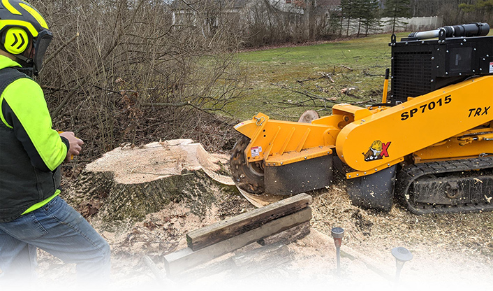 stump grinding